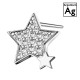 POS-005 925 Silver Star Earrings with Crystals