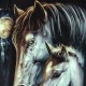 MA-191 Caballo T-shirt Noctilucent Horses MA-191 Caballo T-shirt Noctilucent Horses