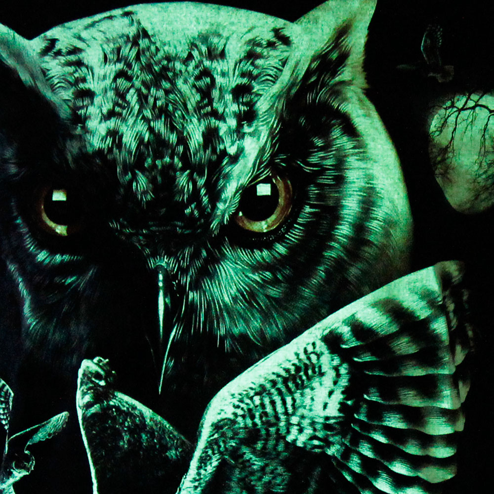 Yellow Eyes White Black Owl In Green Background HD Owl Wallpapers | HD  Wallpapers | ID #91132