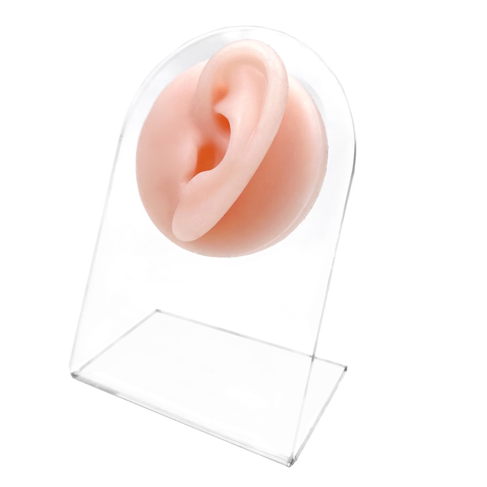 SP-01 3D Synthetic Silicone Ear for Piercing Practice