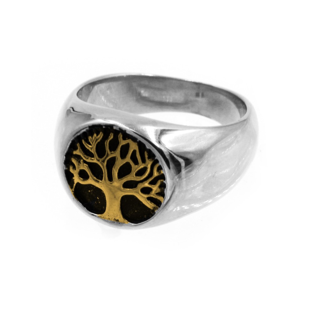 A-563 Ring Tree of Life
